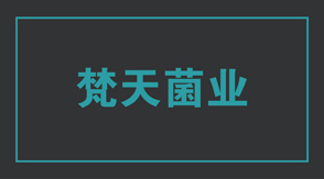 食品行业南京高淳区工作服设计款式